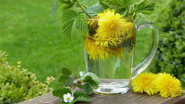 熱帯植物で夏のセンターピースを成功させる秘訣