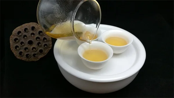 トマト栽培の収穫量を増やす！プロが教える7つの裏技